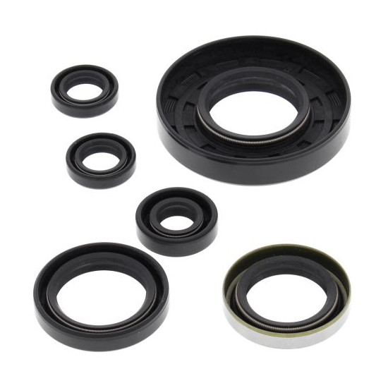 WINDEROSA (VERTEX) engine gasket set POLARIS XPEDITION 425 00-02