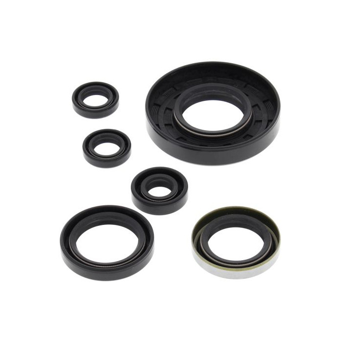 WINDEROSA (VERTEX) Engine Intermediate Kit Polaris XPedition 425 00-02