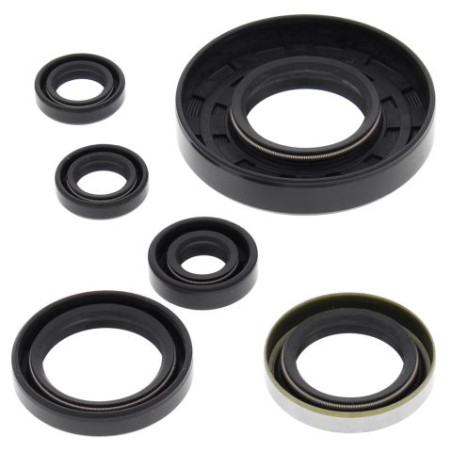WINDEROSA (VERTEX) engine gasket set POLARIS XPEDITION 425 00-02