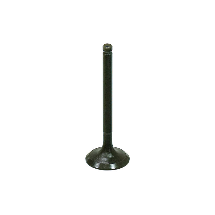 BRONCO intake valve POLARIS 90 OUTLAW/SPORTSMAN '07-'17, OUTLAW 110 '16-'18, SPORTSMAN 110 '16-'18, YAMAHA RAPTOR 90 '16-2
