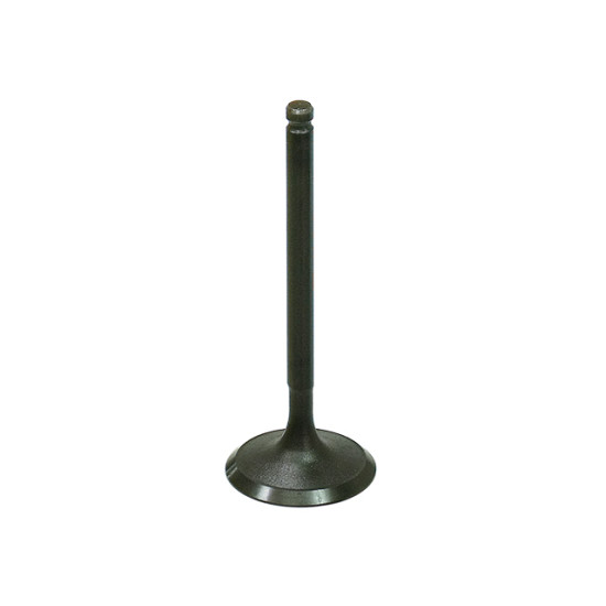 BRONCO intake valve POLARIS RZR170 '09-'18 steel (27.76X4.98X74.58mm) (OEM:454523)