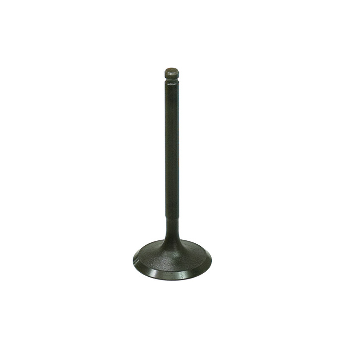 BRONCO intake valve POLARIS RZR170 '09-'18 steel (27.76X4.98X74.58mm) (OEM:454523)