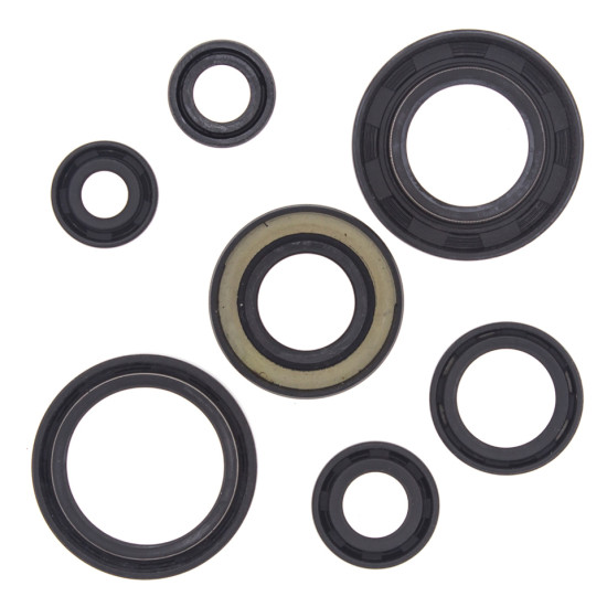 WINDEROSA (VERTEX) engine gasket set YAMAHA YFS200 BLASTER 88-06