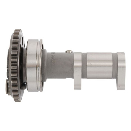 HOT CAMS paskirstymo velenėlis YAMAHA WRF 450 03-15, YFZ 450 04-09 išmetimo