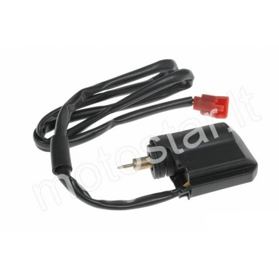 Electronic feeder