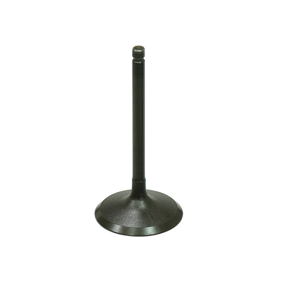 BRONCO intake valve YAMAHA YFM700 GRIZZLY '16-'18, YFM 700 KODIAK '16-'18 WOLVERINE 700 '16-'18 steel (39X5.45X81.8mm)