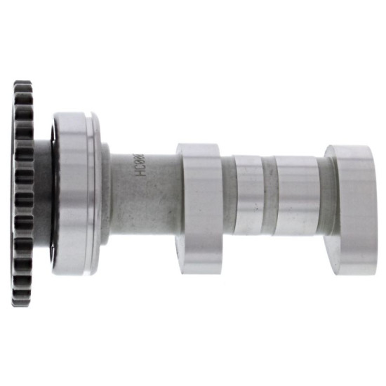 HOT CAMS Distribution...