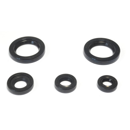 ATHENA variklio tarpinių komplektas KTM DUKE 125 '11-16, DUKE 200 '12-16, RC 200 '15-16