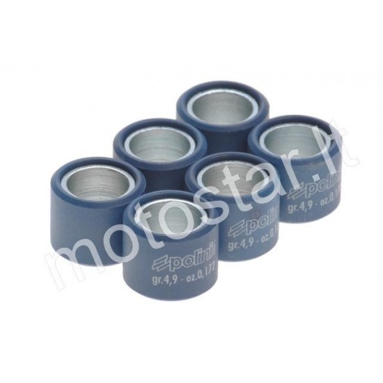 16x13 Polini HQ weights