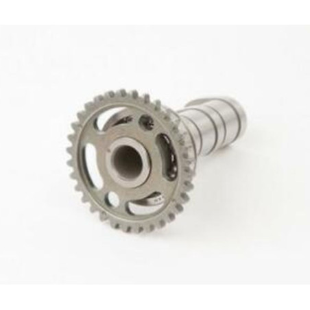 HOT CAMS paskirstymo velenėlis įsiurbimo YAMAHA YZ/WR 250F 01-13