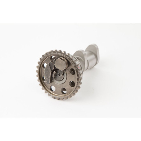 HOT CAMS paskirstymo velenėlis YAMAHA YZF 450 03-09