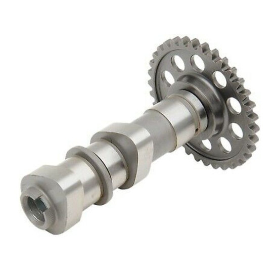 HOT CAMS Distribution...