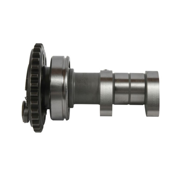 HOT CAMS camshaft (exhaust) YAMAHA YZ 250F '17-'18 (YZ250F)