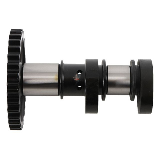 HOT CAMS Distribution...