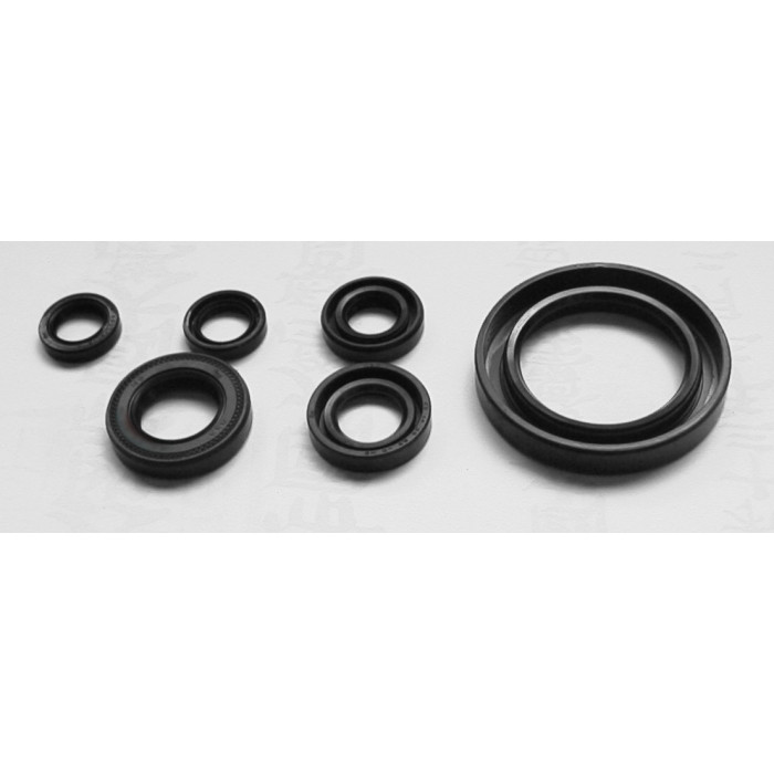 TOURMAX Engine Intermediate Kit Yamaha XV S650 Drag Star '97 -'04 (Made in Japan)