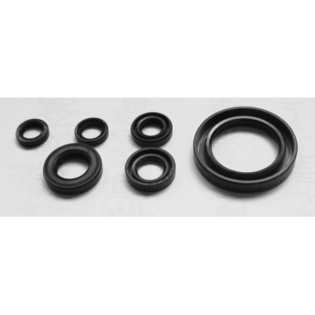 TOURMAX Engine Intermediate Kit Yamaha XV S650 Drag Star '97 -'04 (Made in Japan)