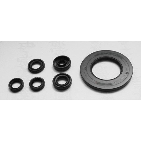TOURMAX engine gasket set YAMAHA YZF 1000R '96-00, FZR 1000 '89-95 (MADE IN JAPAN)