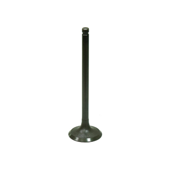 BRONCO intake valve SUZUKI LT/LT-F160 QUADRUNNER '89-'04 steel (28X5,48X91,92mm) (OEM:12911-02C00)