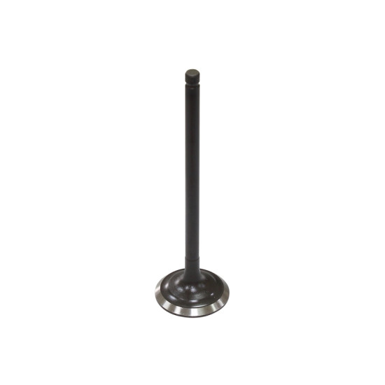 BRONCO exhaust valve ARCTIC CAT 366 4X4 '08-11, 400 TRV '09-14, 400 CR '13-15, A00 ALTERRA '16-17 steel (OEM:0809-189)
