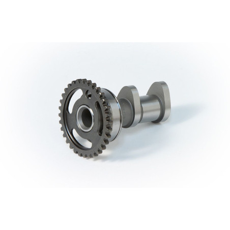 HOT CAMS paskirstymo velenėlis KAWASAKI KX 250F 04-10, RMZ 250`04-06