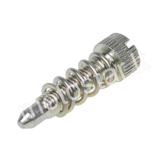 PHBD / PHBG carburetor speed screw Dellorto