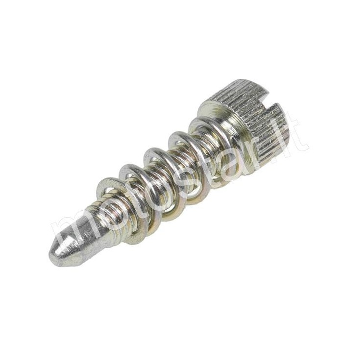 PHBD / PHBG carburetor speed screw Dellorto
