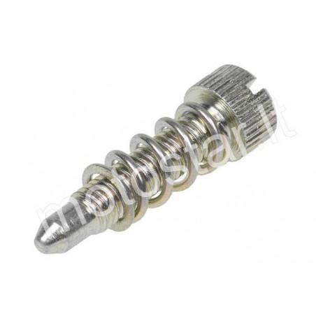 PHBD / PHBG carburetor speed screw Dellorto