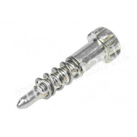 PHVA / PHVB carburetor speed screw Dellorto