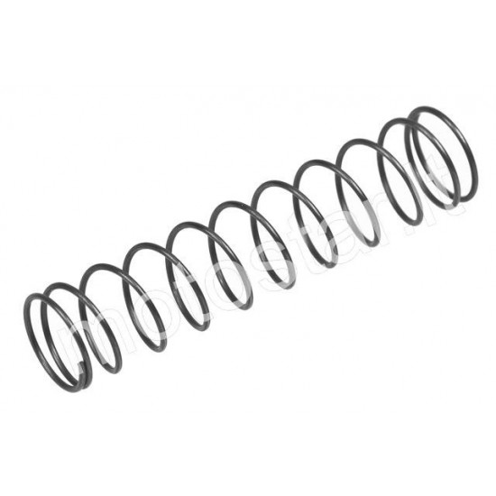 PHBN / PHVA carburetor damper spring Dellorto
