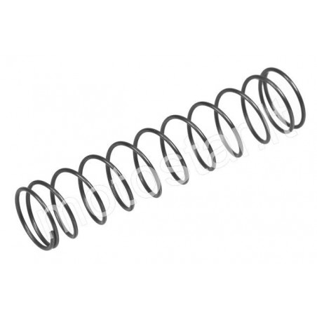 PHBN / PHVA carburetor damper spring Dellorto