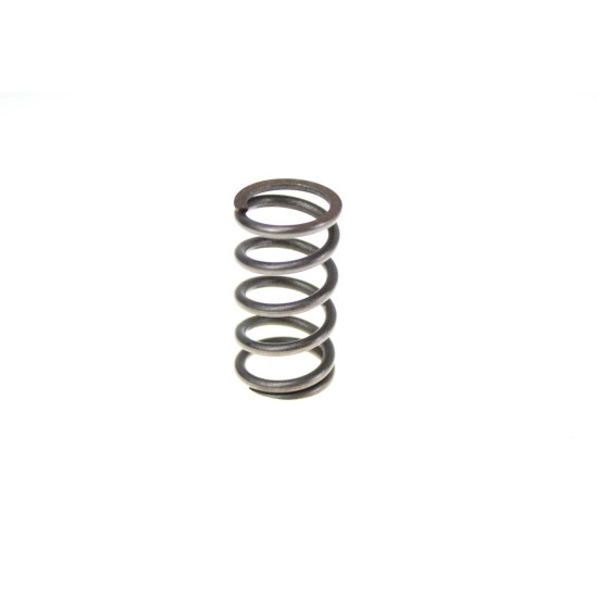 RETURN SPRING LAGI RIEJU 0 / 000.470.0750
