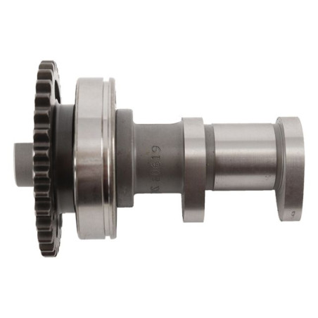 HOT CAMS camshaft SUZUKI RMZ 250, KAWASAKI KX250F