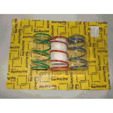 CLUTCH CENTER SPRINGS TOP RACING, PIAGIO GILERA SET