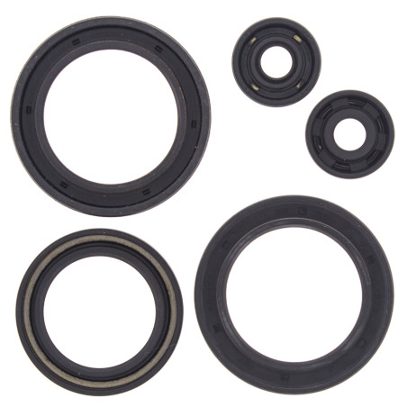 WINDEROSA (VERTEX) Engine Intermediate Kit POLARIS 350/400 93-02