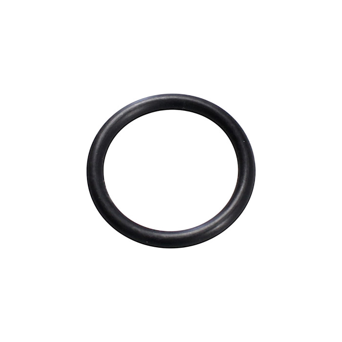 O-RING 24.4*3.1 91309-4E25-004