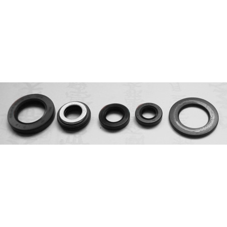TOURMAX engine gasket set YAMAHA SZR 660 '95-97, XT 600E '96-99 (MADE IN JAPAN)