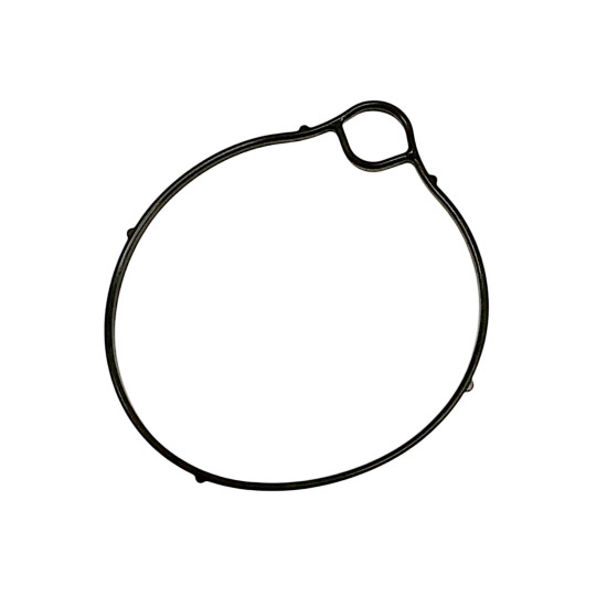 FLOAT CHAMBER SEAL 1051-KG8H-9010