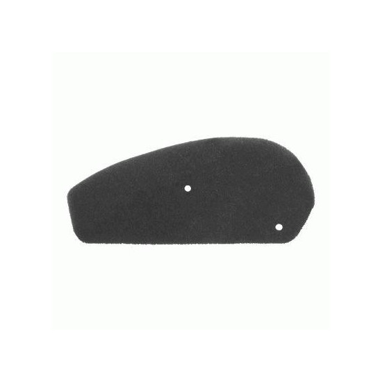 AIR FILTER HONDA SKY. RMS 10 060 0210