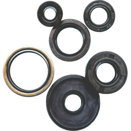 WINDEROSA (VERTEX) engine gasket set HONDA CRF150F 03-05, CTX200 02-11