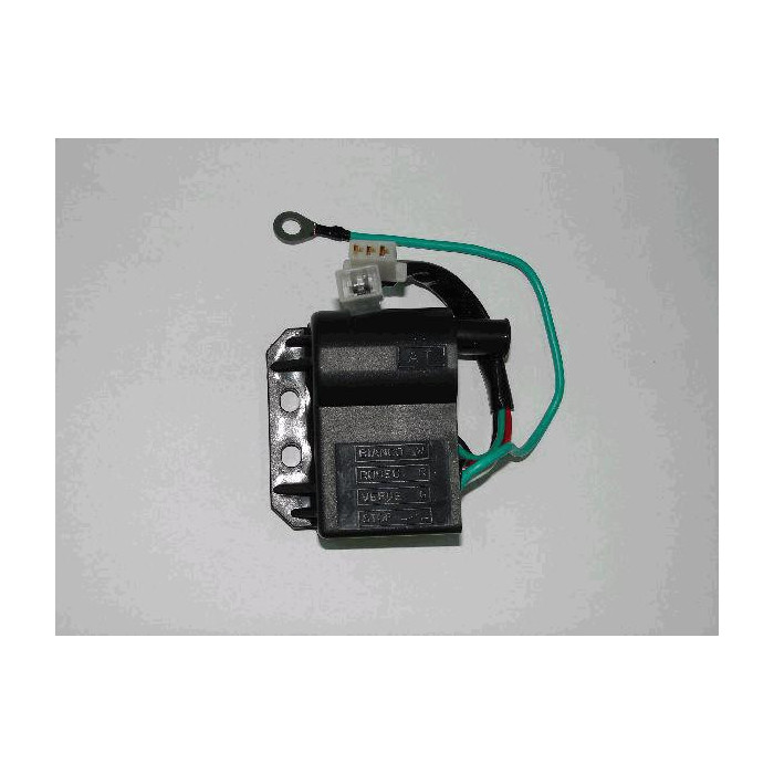 ELEKTRONINIS UŽDEGIMO ĮTAISAS MALAGUTI BETA 50CC 2403300