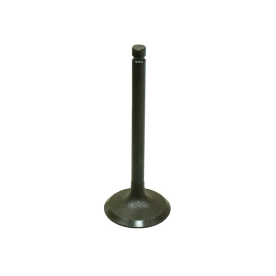 BRONCO intake valve YAMAHA XT 600E '90-'03, TT600 R/RE/S '93-'06, YFM600 GRIZZLY '98-'01 steel (37x7x97mm)(OEM:4WV-121)