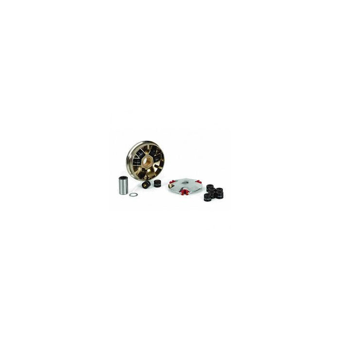 VARIATOR STANDARD PIAGGIO EXTREM