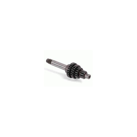 MAIN SHAFT 12 TEETH AM6