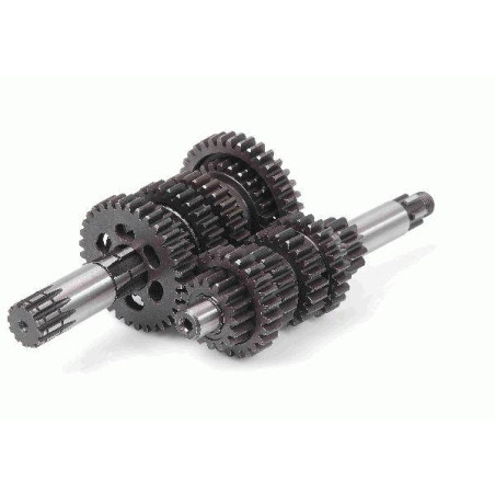 COMPLETE GEARBOX STANDARD AM6