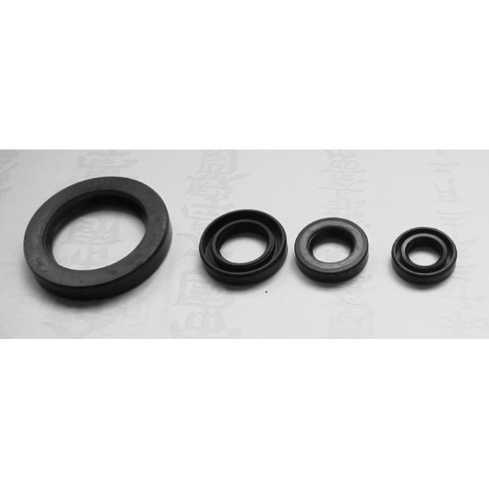 TOURMAX Engine Intermediate Kit Yamaha XV 500SE, XV535 '90 -'03 (Made in Japan)