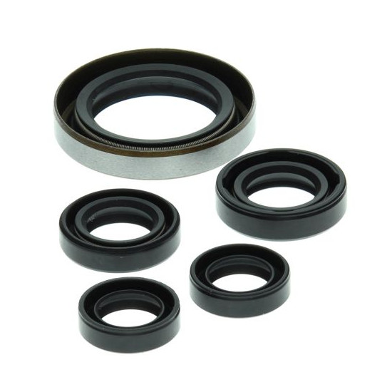 WINDEROSA (VERTEX) engine gasket set POLARIS OUTLAW 500 '06-'07, PREDATOR 500 '03-'07