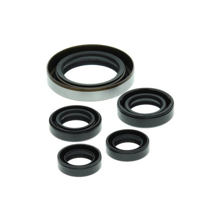 WINDEROSA (VERTEX) engine gasket set POLARIS OUTLAW 500 '06-'07, PREDATOR 500 '03-'07
