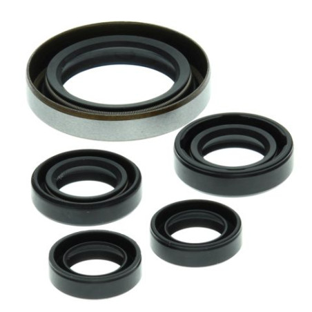 WINDEROSA (VERTEX) engine gasket set POLARIS OUTLAW 500 '06-'07, PREDATOR 500 '03-'07