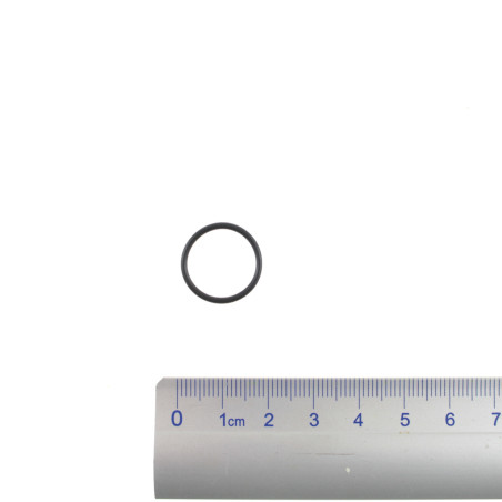 O-RING 15.2*1.5 91301-GLRO-W10