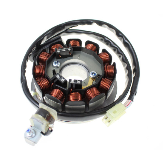 COMPLETE GENERATOR RIEJU MRX POWER-UP 0 / 005.822.2544